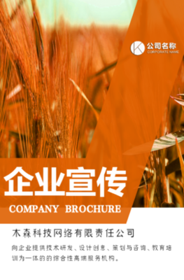 木森網絡 以城市智慧基因，驅動數字創新未來